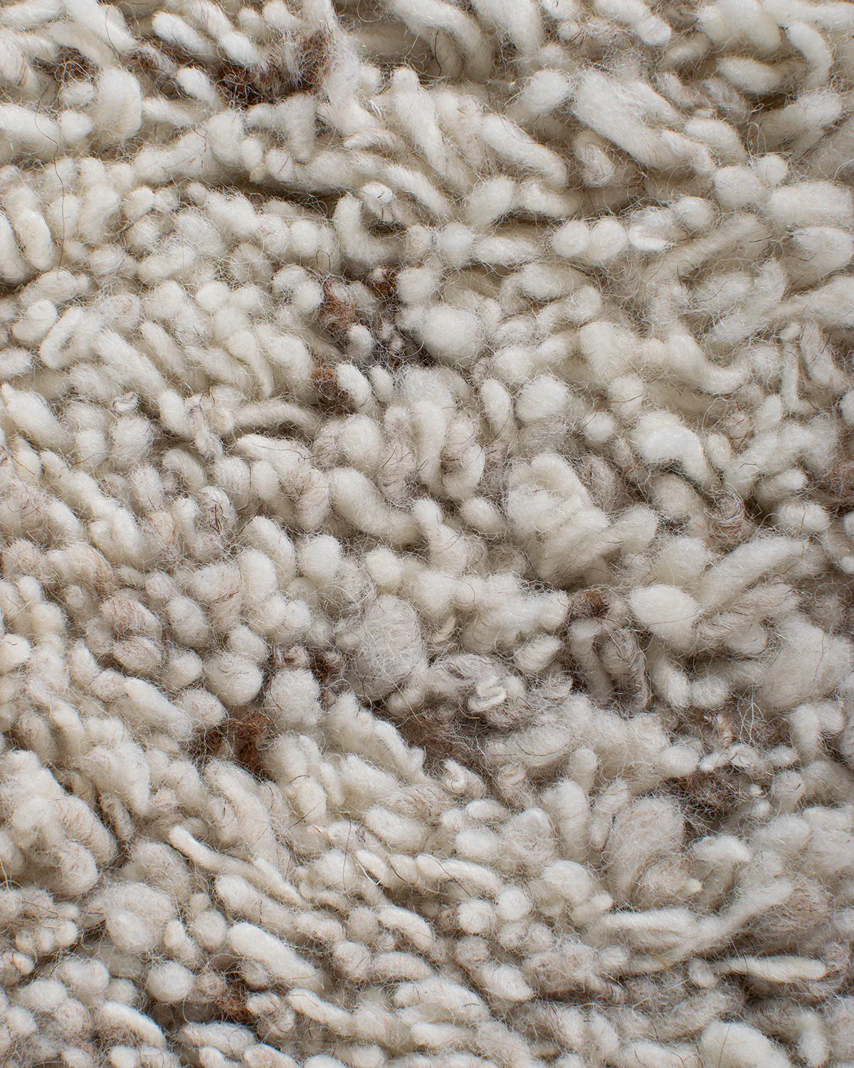Cambridge_White_Brown_1295-206_closeup02_1200x1500.webp