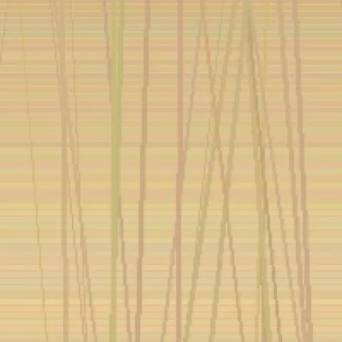 neutru